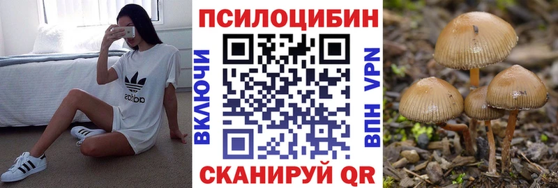 Галлюциногенные грибы прущие грибы Сафоново