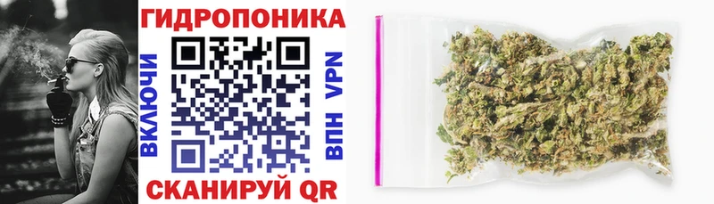 Бошки марихуана конопля  Сафоново 